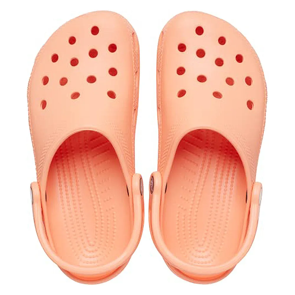 Classic Clog Limited - Unisex